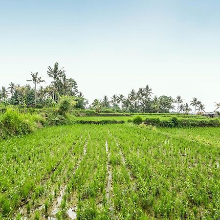 Yamuna Guest House Ubud Dış mekan fotoğraf